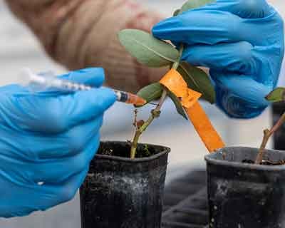 Agenda Transform aposta em dados, inovação e serviços especializados para tornar a floresta mais resiliente