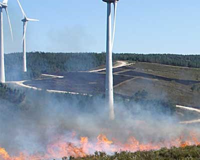 Agrária de Coimbra promove 12.ª Edição do Curso de Fogo Controlado