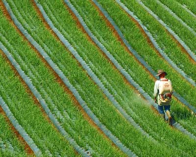 CAP promove Workshop para analisar o «Pacote Omnibus» e o futuro dos Fitofarmacêuticos