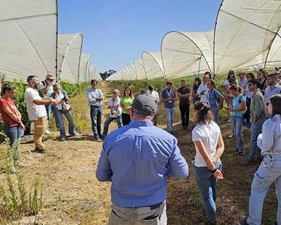 Colóquio da Produção de Pequenos Frutos alerta para a necessidade de preservar e investir nos recursos genéticos europeus