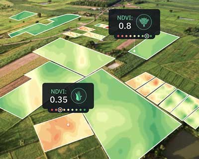 Dentro da exploração agrícola Inteligente: a tecnologia que liga Satélites, Sensores e IA