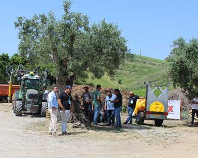 Dia do Agricultor celebrado com foco na inovação e sustentabilidade