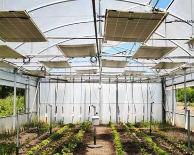 Escola Superior Agrária de Coimbra promove Dia Aberto do projeto Agriflex