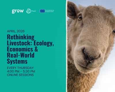 Food4Sustainability lança ciclo de webinars dedicado à Pecuária Regenerativa