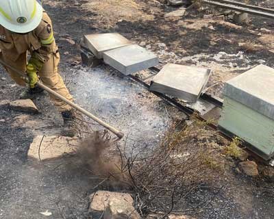 Lusomorango associa-se à FNAP no apoio aos apicultores afetados pelos incêndios