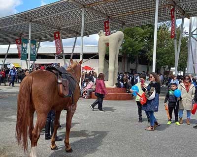 Próxima edição da Ovibeja aposta no vinho como património da região do Baixo Alentejo