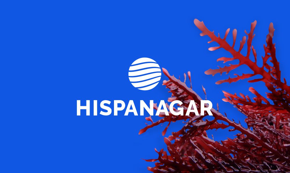 Hispanagar