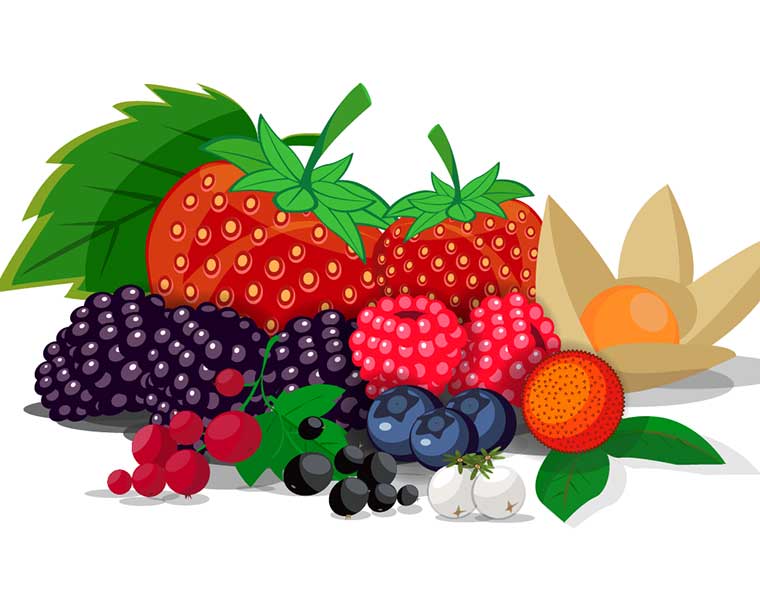 Pequenos Frutos