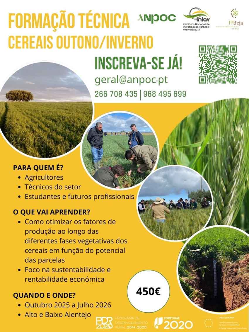 Forma&ccedil;&atilde;o