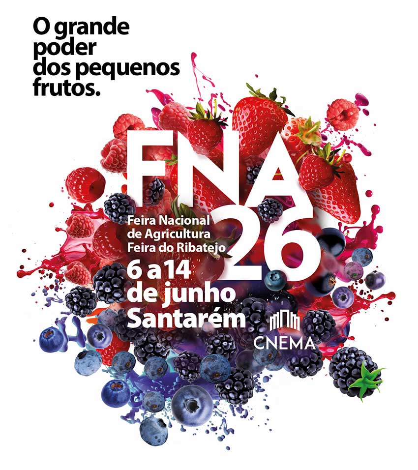 FNA