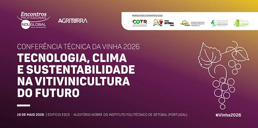 Vinha