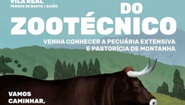 Dia do Zootécnico: Evento destaca pecuária extensiva e pastorícia de montanha